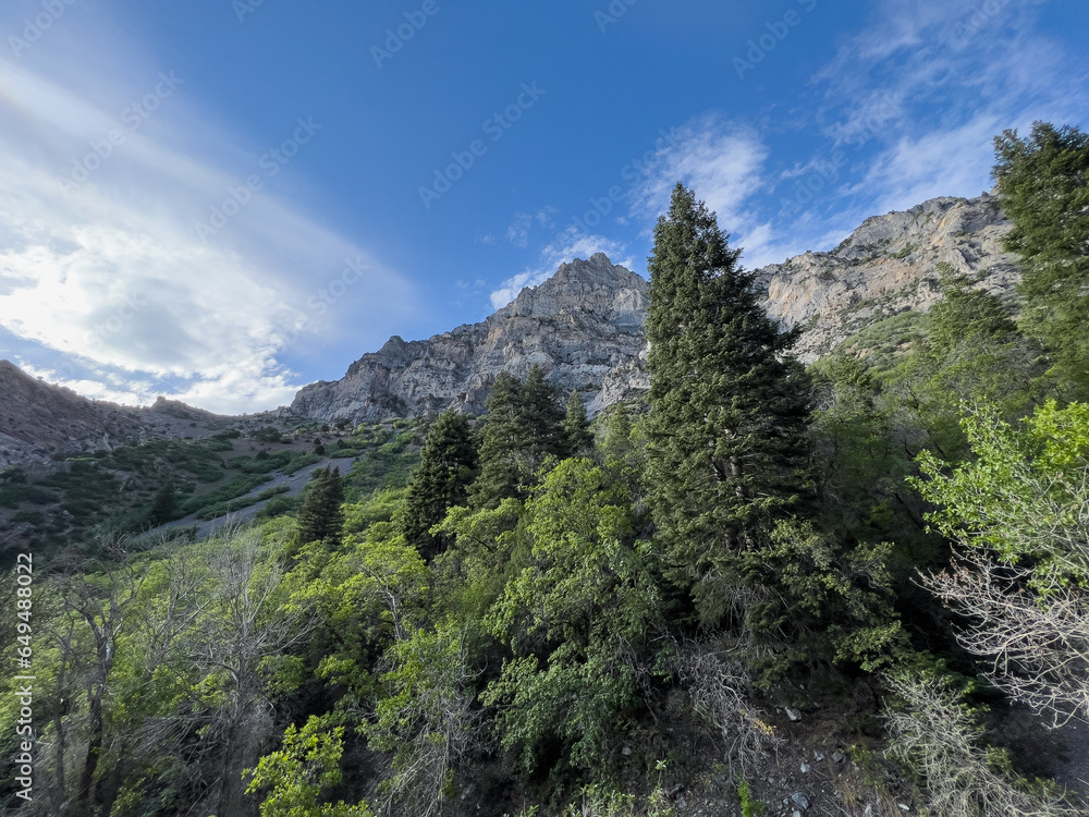utah mountains under a blue sky with trees