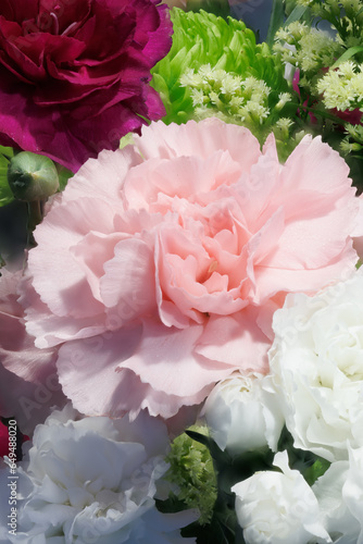 pink carnation close up in a bouquet of flowers