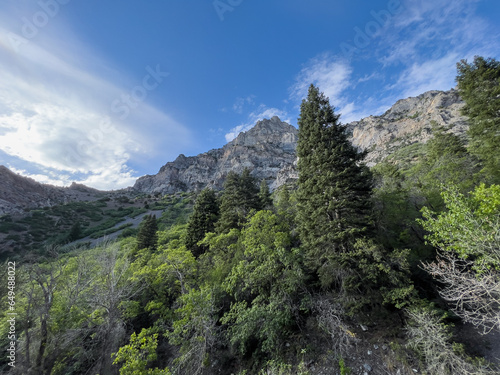 utah mountains under a blue sky with trees