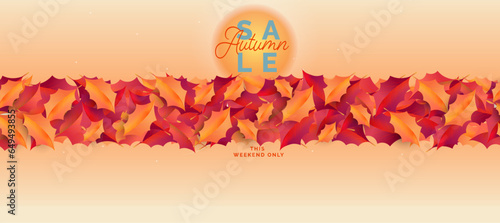 Autumn Sale background, banner, poster or flyer design. Vector illustration with attractive beautiful leaves.  Advertising, web, social and fashion template photo