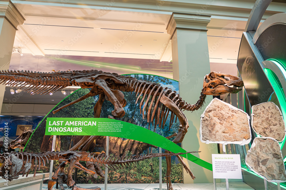 Washington DC, April 8 2023 Dinosaur fossil in north america exhibit