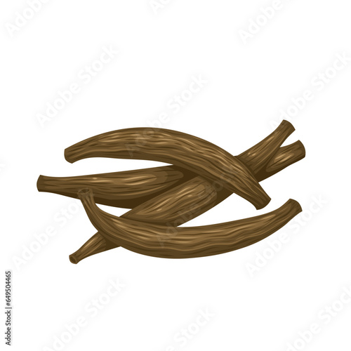 Vector illustration, Kapok buds, also known as marathi moggu, isolated on white background.