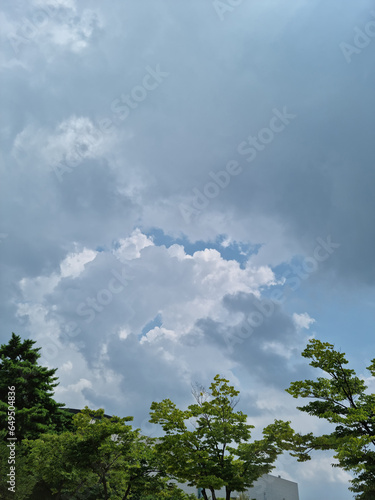 Dark cloudy sky and tree branches.