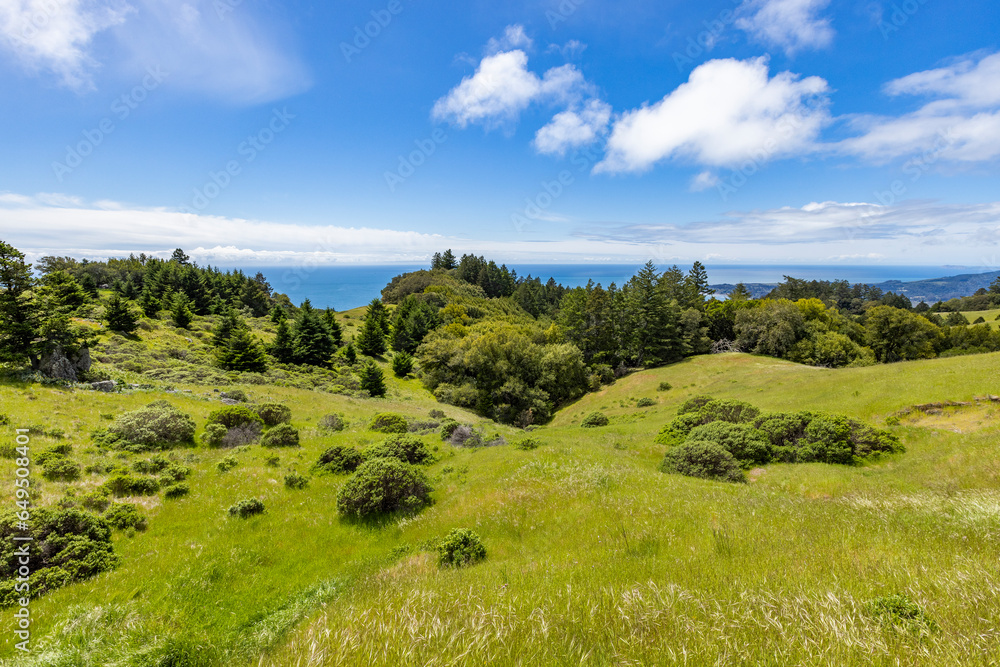 USA, California, Stinson Beach, Scenic view towards ocean from hillside