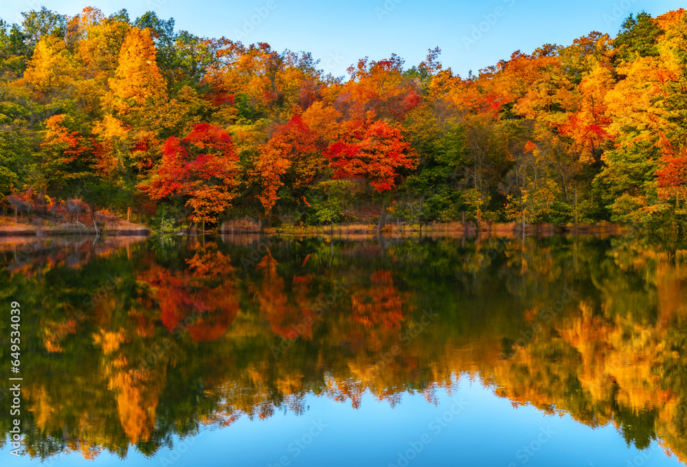 Autumn Reflections by the Lake. Peaceful lake surrounded by colorful autumn foliage. Trees mirrored in the calm water.