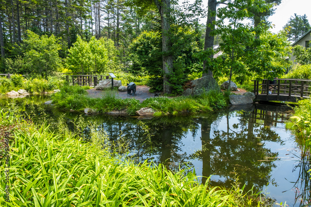 Beautiful pond or lake inside the botanical garden. Green trees and nature-feels.