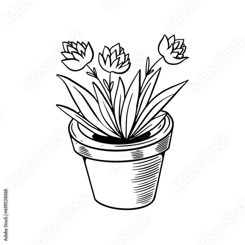 Hand drawn line art sketch art style flower in a pot.