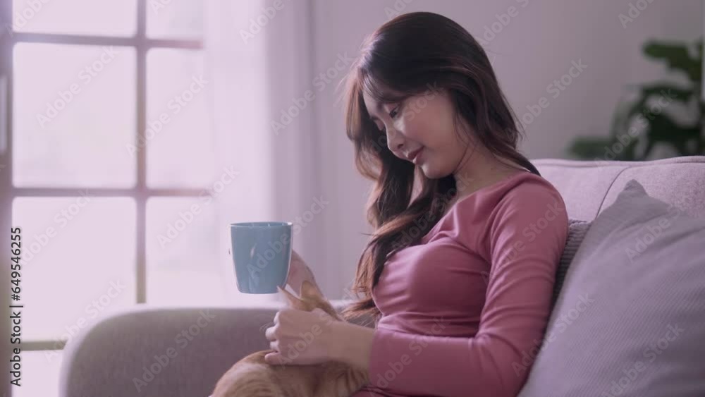 woman in a plaid drinking hot tea, petting a relaxed cat while stroking a cat sitting on her lap on the sofa at home. woman in a plaid drinking hot tea, petting a relaxed cat while stroking a cat sitting on her lap on the sofa at home.