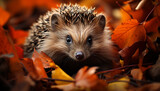 Cute hedgehog in autumn forest, looking at yellow leaf generated by AI