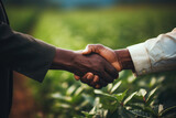 Two people shaking hands in field. Suitable for business, partnership, and teamwork concepts.