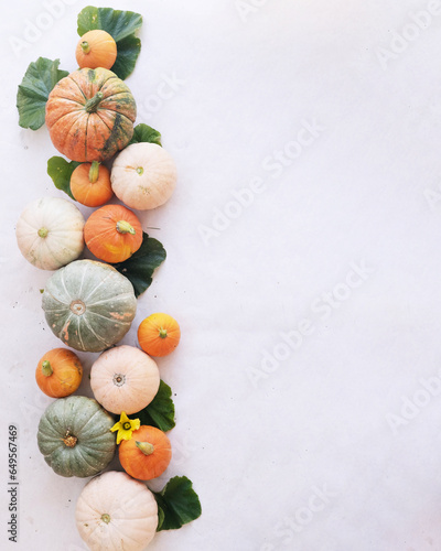 Autumn composition. Colorful pumpkins from the garden, on a white background. Autumn, autumn Halloween concept. Flat plane, top view, place to copy