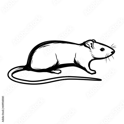 illustration of a rat
