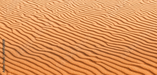 Sand background Panorama of the desert Wrinkles of sand blown by the wind