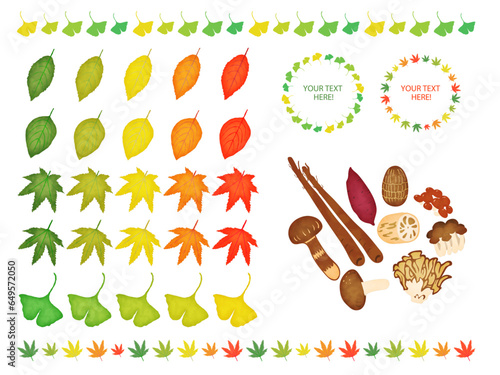 紅葉と秋野菜の詰め合わせ