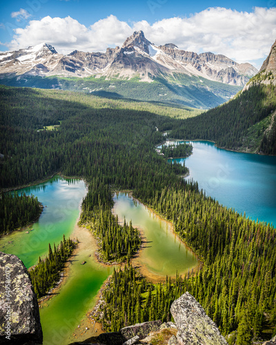 Opabin Pleateau near Lake O'Hara, Yoho National Park photo