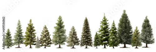 Different kinds of trees of various sizes on transparent background PNG for decorating nature concept images.