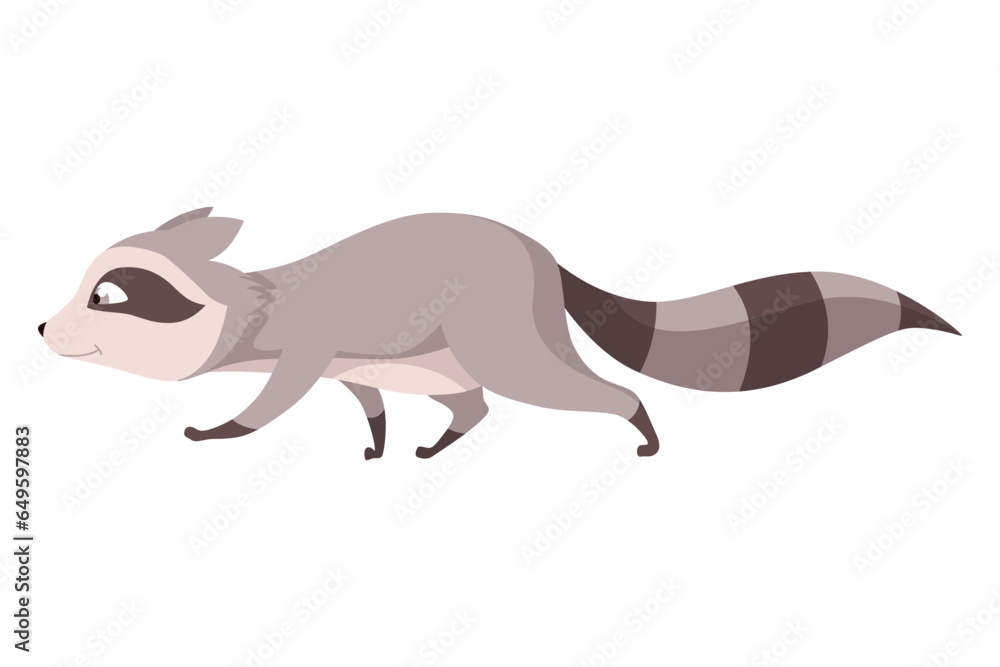 Raccoon character emotion. Funny wild coon pose or cute mammal animal, cartoon vector. Character emoji design isolated on white background
