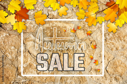 Abstract Autumn Sale Background with Falling Autumn Leaves.
