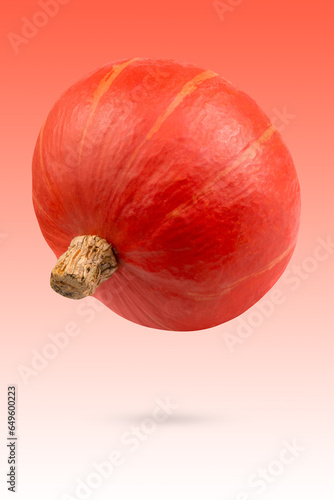 Levitation of small hayati pumpkin. photo