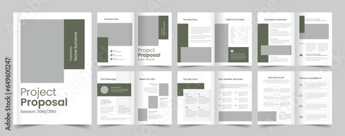 Project Proposal, Corporate brochure layout, Brochure template, Company profile, Annual report, 12 pages, flyers, leaflet