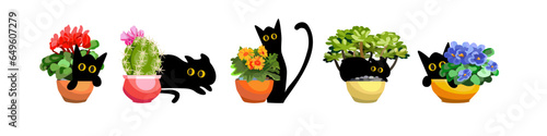 Set cartoon black cat in a pot with houseplants. Funny pets vector scene