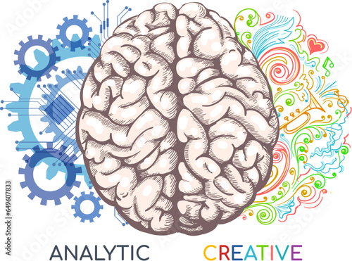 Left and right human brain functions