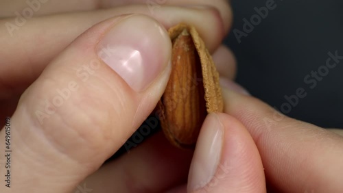 4k close up footage top view macro female fingers with a neat natural manicure open a fresh almond, removing it from the shell. 
