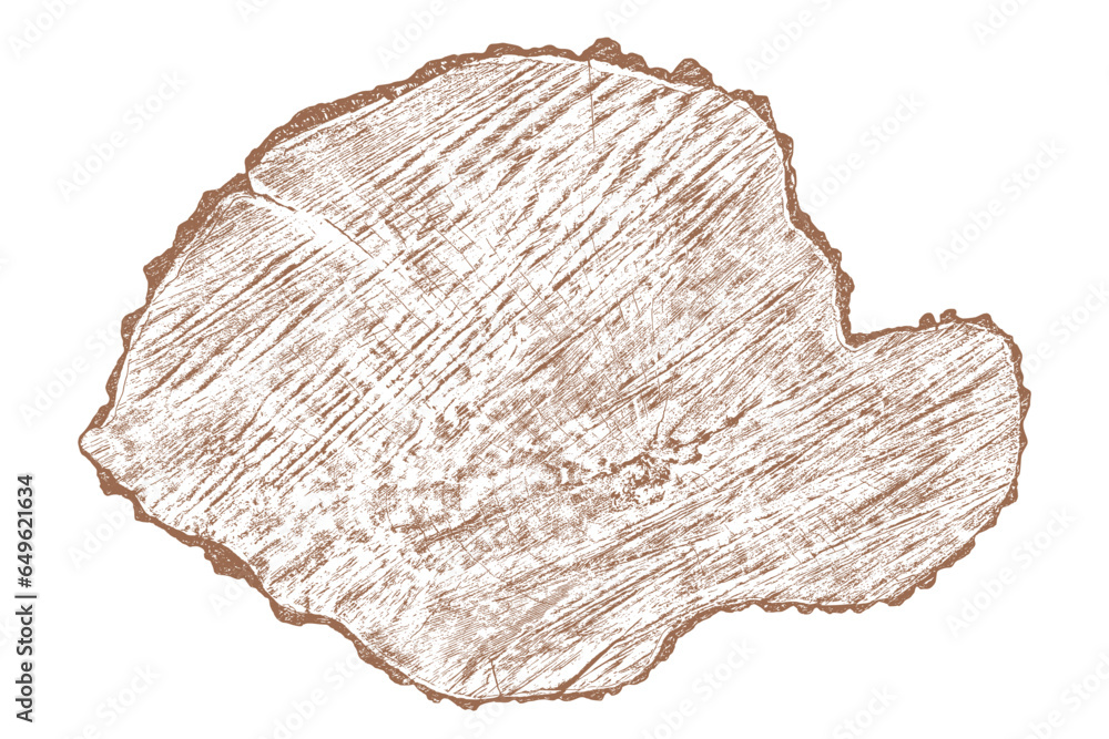 Wood texture cross section of tree rings. Cut slice of wooden stump isolated on white. Textured surface with rings and cracks. Brown background made of hardwood from the forest. Vector illustration. Wood texture cross section of tree rings. Cut slice of wooden stump isolated on white. Textured surface with rings and cracks. Brown background made of hardwood from the forest. Vector illustration.