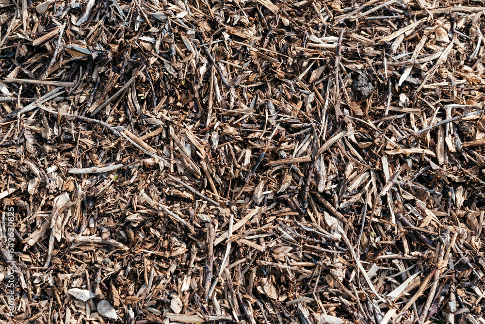 Chips of trees and bushes. Small pile of wood chips background, top view. Waste from the woodworking industry, fuel and raw materials for heating solid fuel industrial boilers on wood chips. Chips of trees and bushes. Small pile of wood chips background, top view. Waste from the woodworking industry, fuel and raw materials for heating solid fuel industrial boilers on wood chips.
