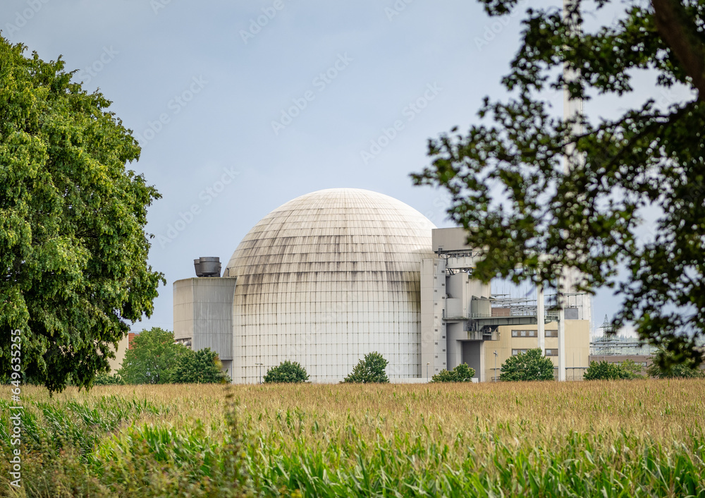 nuclear reactor and nuclear power plant