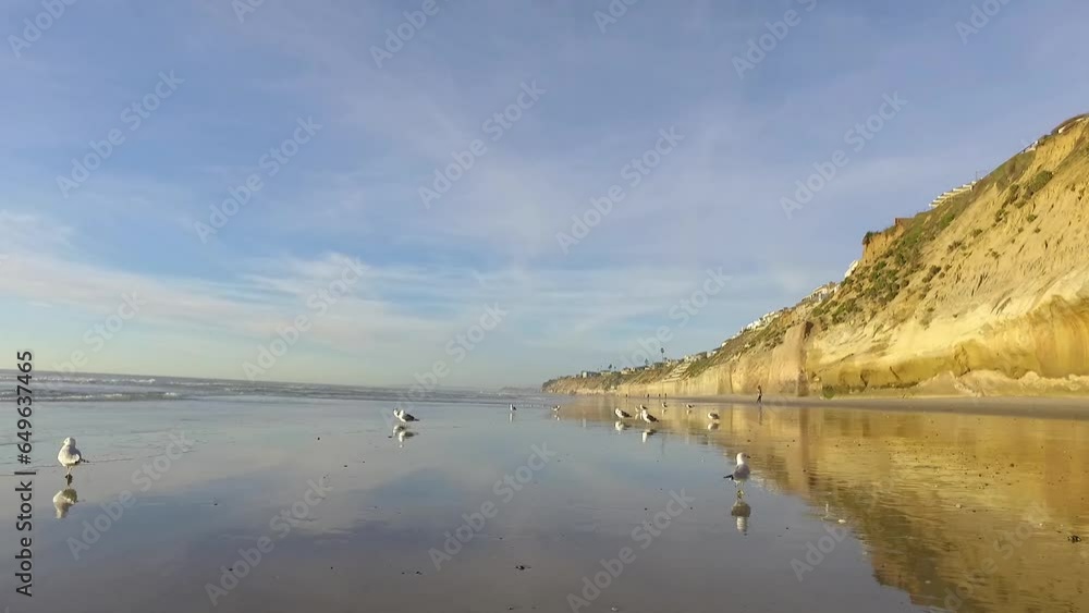Walking with sanderlings on Solana Beach, CA Summer 2021 with blue skies and clouds near Sunset Cliffs. Walking with sanderlings on Solana Beach, CA Summer 2021 with blue skies and clouds near Sunset Cliffs.