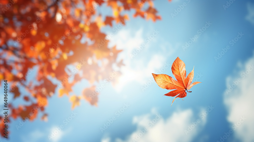 lonely leaf falls in autumn from a tree against a light blue sky, leaf fall on an autumn day background with a copy space lonely leaf falls in autumn from a tree against a light blue sky, leaf fall on an autumn day background with a copy space