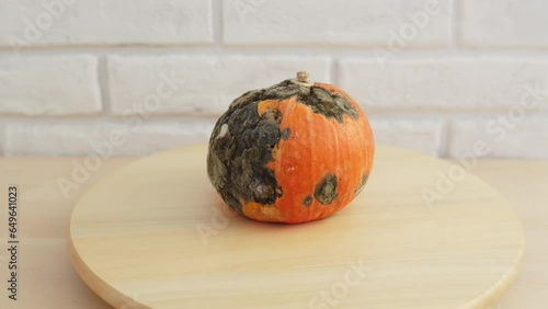 Spoiled pumpkin with black mold spins on round wooden tray in home storage room. Spoiled food product due to improper storage conditions. Dampness and humidity provoked the growth of fungus. photo