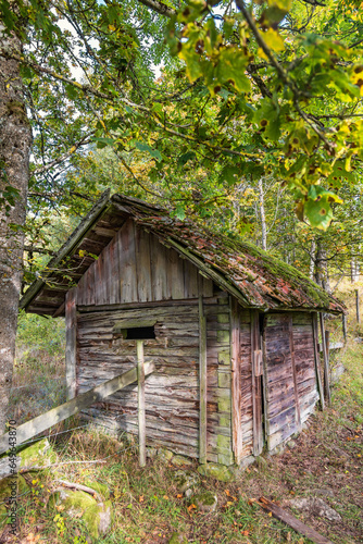 Fototapeta Naklejka Na Ścianę i Meble -  Idyllic old shed in pasture