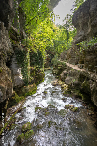 waterfall in the forest