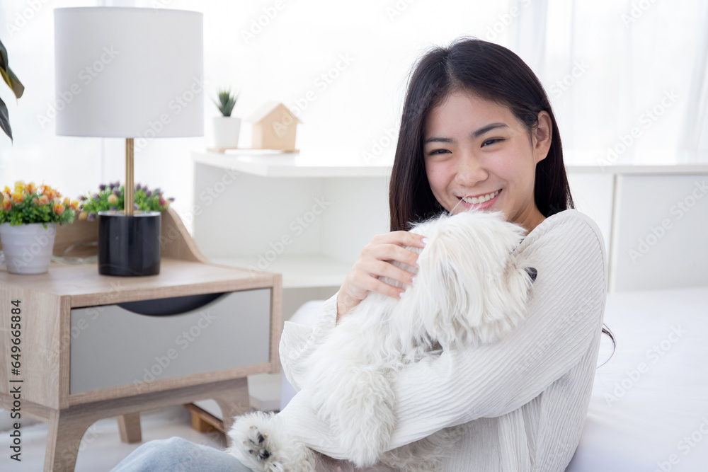 Young asian woman sitting carrying with fluffy dog shih tzu with love in bedroom at home, friends pet with companion, woman playful and hug with animal for relax, female and friendly of puppy. Young asian woman sitting carrying with fluffy dog shih tzu with love in bedroom at home, friends pet with companion, woman playful and hug with animal for relax, female and friendly of puppy.