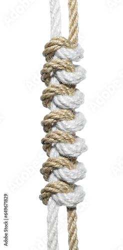 Two braided hemp ropes isolated on white