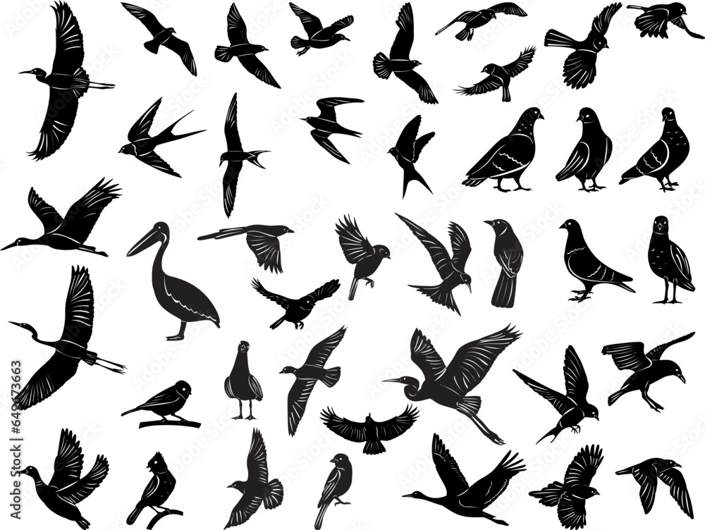 birds silhouette collection, set on white background, vector birds silhouette collection, set on white background, vector