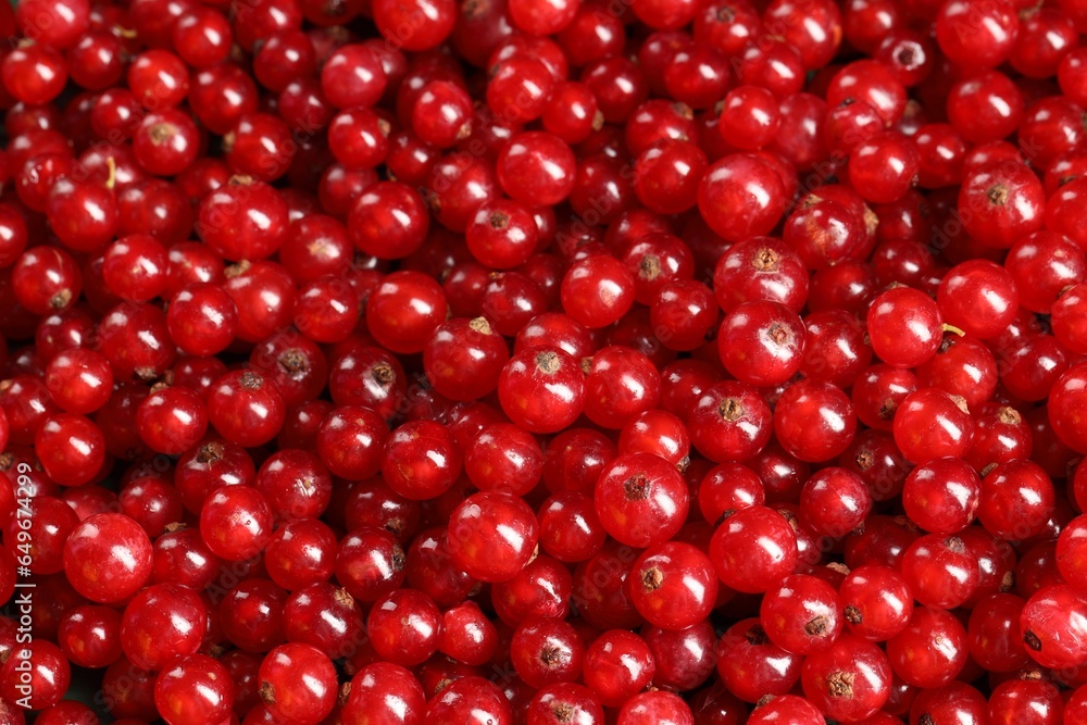 Many ripe red currants as background, top view Many ripe red currants as background, top view