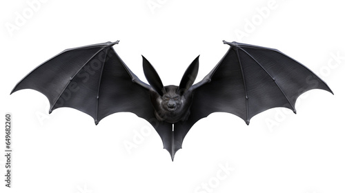 Obraz w ramie bat isolated on transparent background