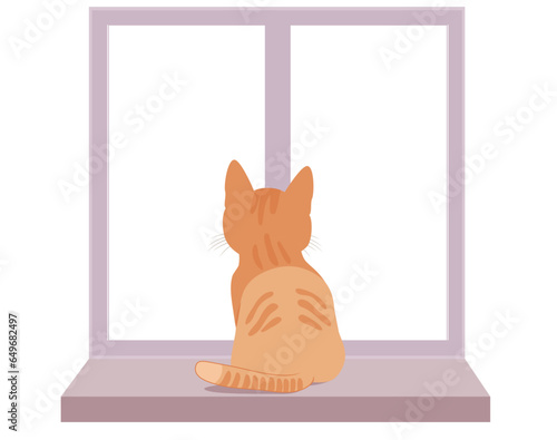 Cute tabby stripped red cat sitting on blank copy space window isolated on white background. Vector cartoon illustration of animal at home