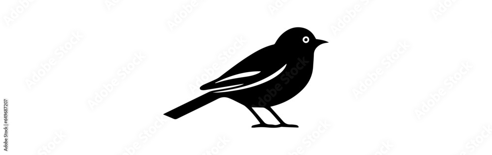 Bird isolated on white background Bird isolated on white background
