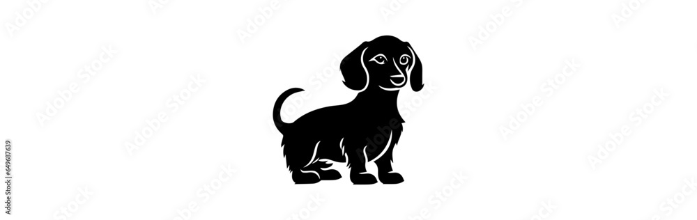 dachshund dog isolated on white background dachshund dog isolated on white background