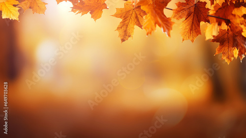 maple leaves on abstract blurred background with bokeh copy space  light bright autumn background for text