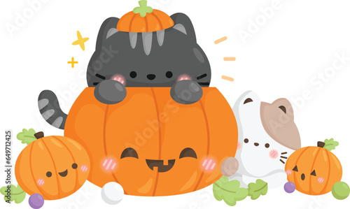 a vector of cats and pumpkins © Inkley