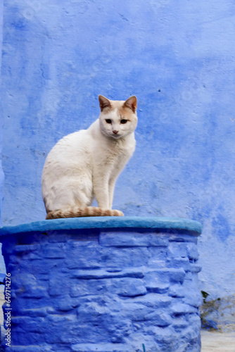 Chefchaouen  la citt   azzurra del Marocco.