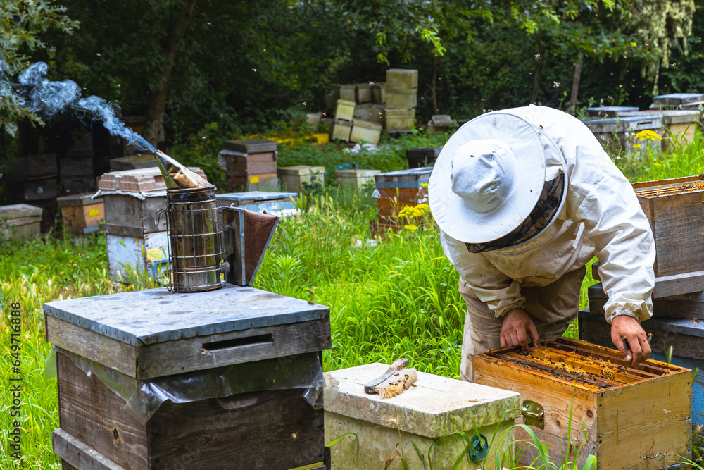 Apiculture or beekeeping background photo. Bee smoker on the beehive in apiary. Apiculture or beekeeping background photo. Bee smoker on the beehive in apiary.