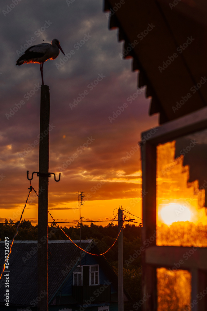 A white stork is sitting on the pillar on sunset in the countryside