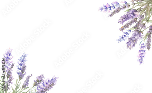 Template with watercolor lavender. Birthday or Wedding cards. Vector design element, wreaths of lavender.