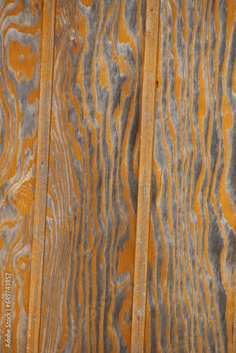 Obraz na płótnie wood texture w salonie